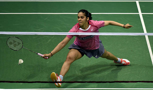 羽毛球场与排球场：尺寸、规则与装备的全面对比