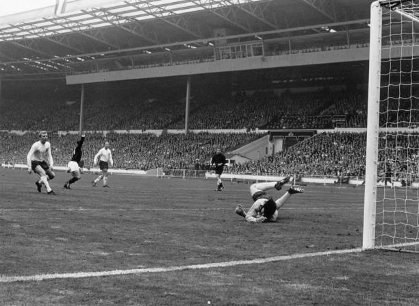 青岛足球公园：市民休闲运动与专业训练的双重空间