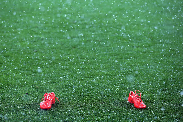 对比新旧版本:足球比分系统的功能差异