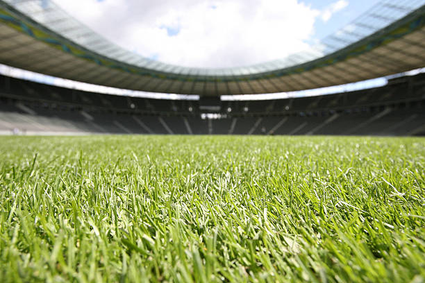 独家前瞻:欧冠决赛巅峰对决,谁能问鼎欧洲之巅?