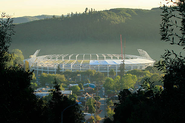 欧冠决赛2023:伊斯坦布尔之夜,谁能加冕欧洲之王?