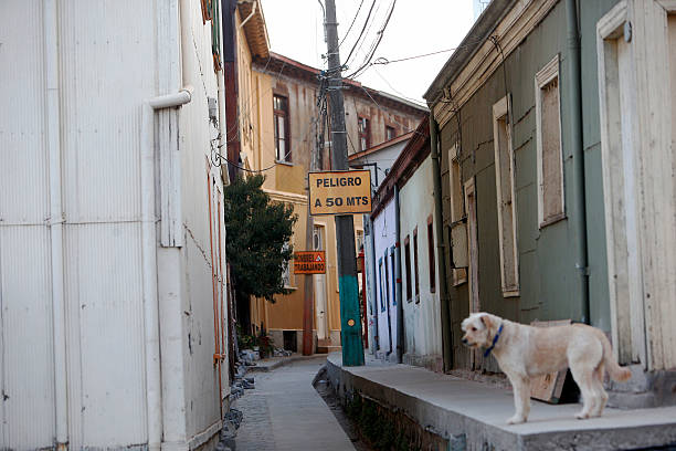 贝克汉姆近期发型指南:打造他的时尚造型必备产品与技巧