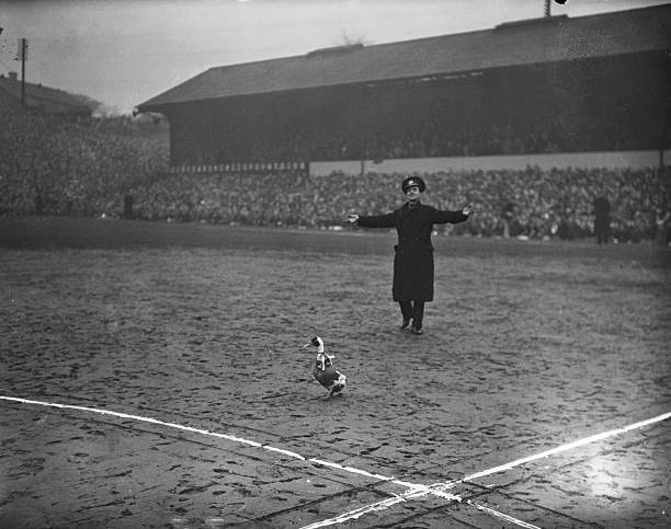 德国vs法国进球预测:谁将主宰欧洲德比战?