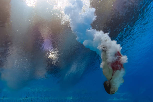 从奥运冠军到职场精英:吴敏霞的现任职务
