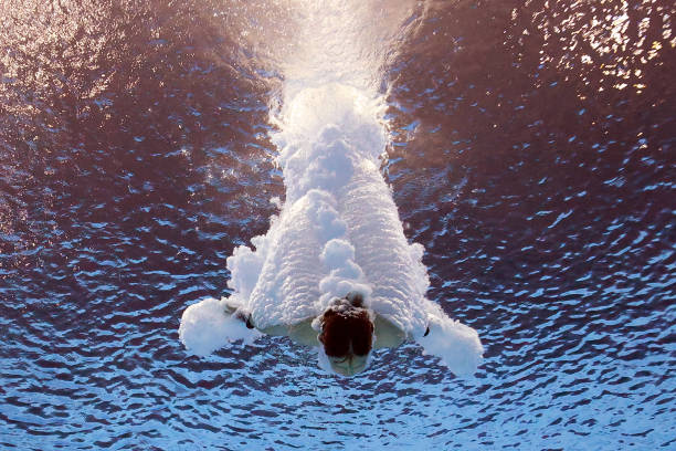 跳远训练方法分享:助你稳步提升至150米水平