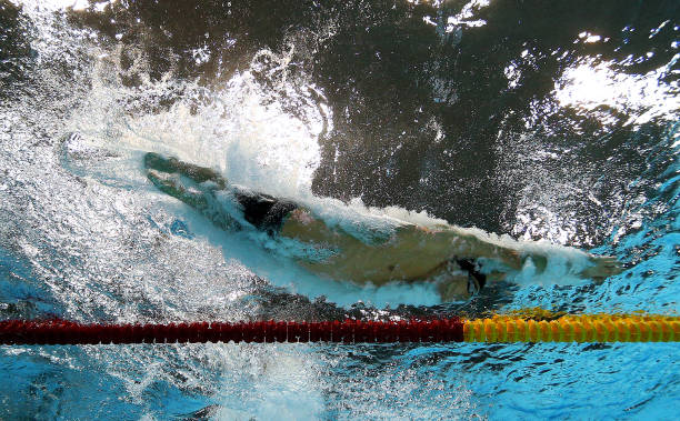 从世界大赛表现看陈若琳与全红婵的实力高低