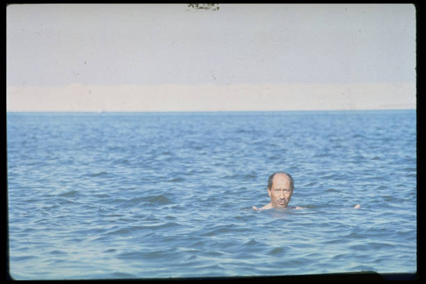 夏日必备!超简单的游泳池绘画指南