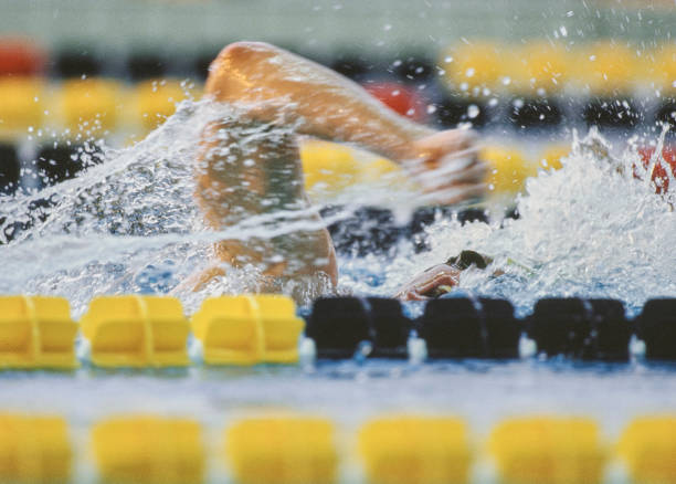 游泳时间与代谢关系:什么时候游最燃脂?