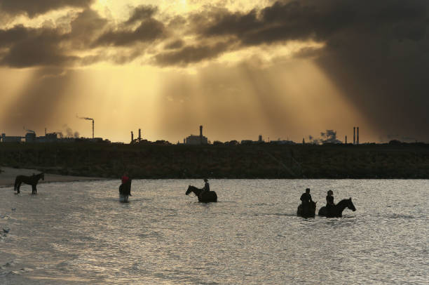 健康生活从游泳开始：义乌游泳池会员优惠一览