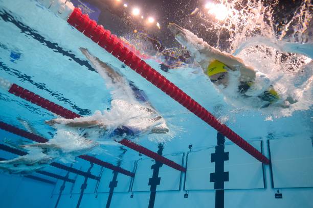 游泳模拟器：真实还原奥运游泳比赛的细节！