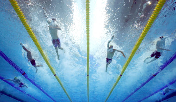 省运会游泳比赛成绩单：新星崭露头角