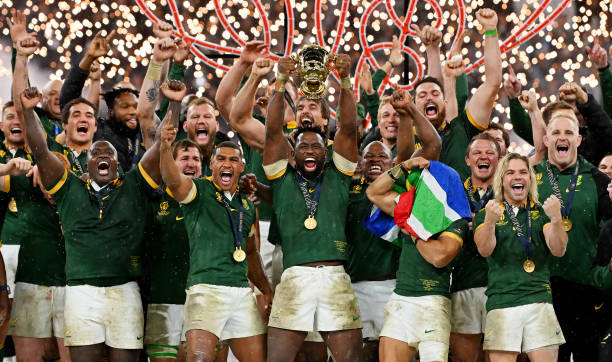 跳水世界杯奖牌榜出炉：中国选手表现抢眼